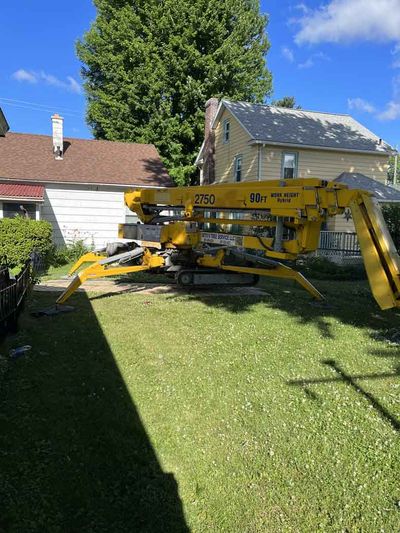 Tree service professional at work